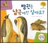 궁금한 개념과학동화 13 펭귄은 남극에만 살까요? (동물, 땅에 사는 동물) (양장)