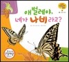 궁금한 개념과학동화 18 애벌레야, 네가 나비 라고? (동물, 곤충의 한 살이)　(양장)