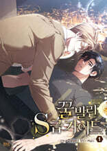 만화 꿀 발린 S급 가이드 1