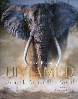 (새책) Untamed : Animals Around the World / 2-030001