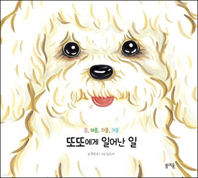 또또에게 일어난 일