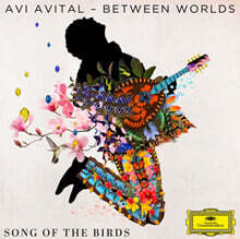 Avi Avital (아비 아비탈) - 새들의 노래 (Song of the Birds)