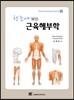 근육해부학