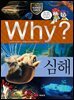 Why? 과학 - 심해