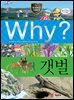 Why? 과학 - 갯벌