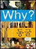 Why? 과학 - 동굴