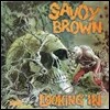 Savoy Brown - Looking In