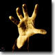 System Of A Down - System Of A Down