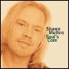 Shawn Mullins - Soul’s Core