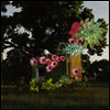 Medicine - Home Everywhere (CD)
