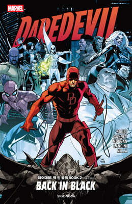 데어데블 : 백 인 블랙 BOOK 2