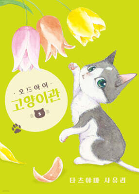 오드아이 고양이관 3
