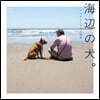海邊の犬。