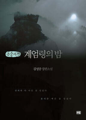 계엄령의 밤 (큰글자책)