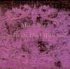 Mazzy Star (매지스타) - So Tonight That I Might See [ 컬러 LP]