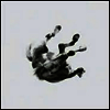 Anberlin - Dark Is the Way, Light Is a Place (LP)