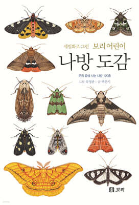 세밀화로 그린 보리 어린이 나방 도감