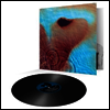 Pink Floyd - Meddle (Reissue)(180g Gatefold LP)