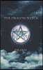 The Dragon Witch (The Dragon Hunters #2)