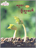 싹이 돋았어요