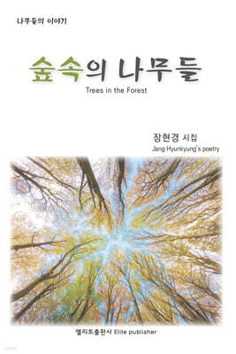 숲속의 나무들