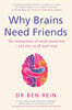 Why Brains Need Friends