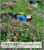 미친년 프로젝트