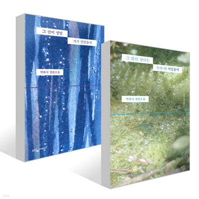 그 많던 싱아는 누가 다 먹었을까 + 그 산이 정말 거기 있었을까  세트