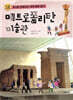 메트로폴리탄 미술관