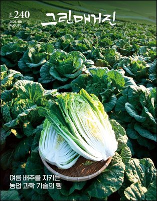 그린매거진 Vol.240 (2025년 8월호) 여름 배추를 지키는 농업 과학 기술의 힘