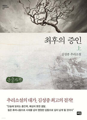 최후의 증인 상 (큰글자책)