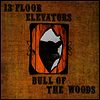 13th Floor Elevators - Bull Of The Woods (Half Speed Remaster) (LP)