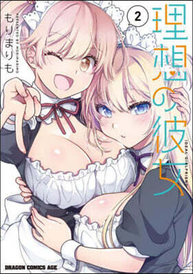 理想の彼女  2