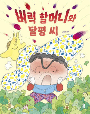 버럭 할머니와 달평 씨 (빅북)