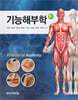 기능해부학