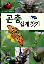 곤충 쉽게 찾기