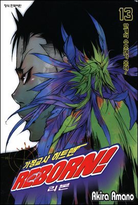 가정교사 히트맨 REBORN! 13