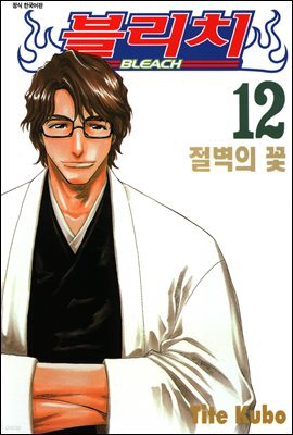 블리치 12