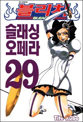 블리치 29