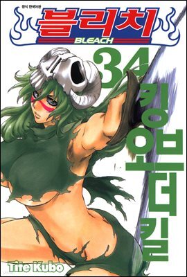 블리치 34