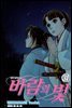 바람의 빛 31