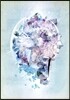 Radwimps - Live & Document 2014 [×と○と君と] (일본수입 통상반)