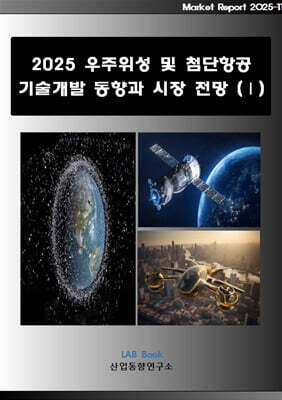 2025 우주위성 및 첨단항공 기술개발 동향과 시장 전망 (1)