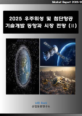 2025 우주위성 및 첨단항공 기술개발 동향과 시장 전망 (2)