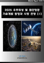 2025 우주위성 및 첨단항공 기술개발 동향과 시장 전망 (2)