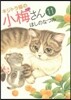 キジトラ猫の小梅さん 11