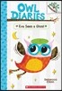 Eva Sees a Ghost: A Branches Book (Owl Diaries #2): Volume 2