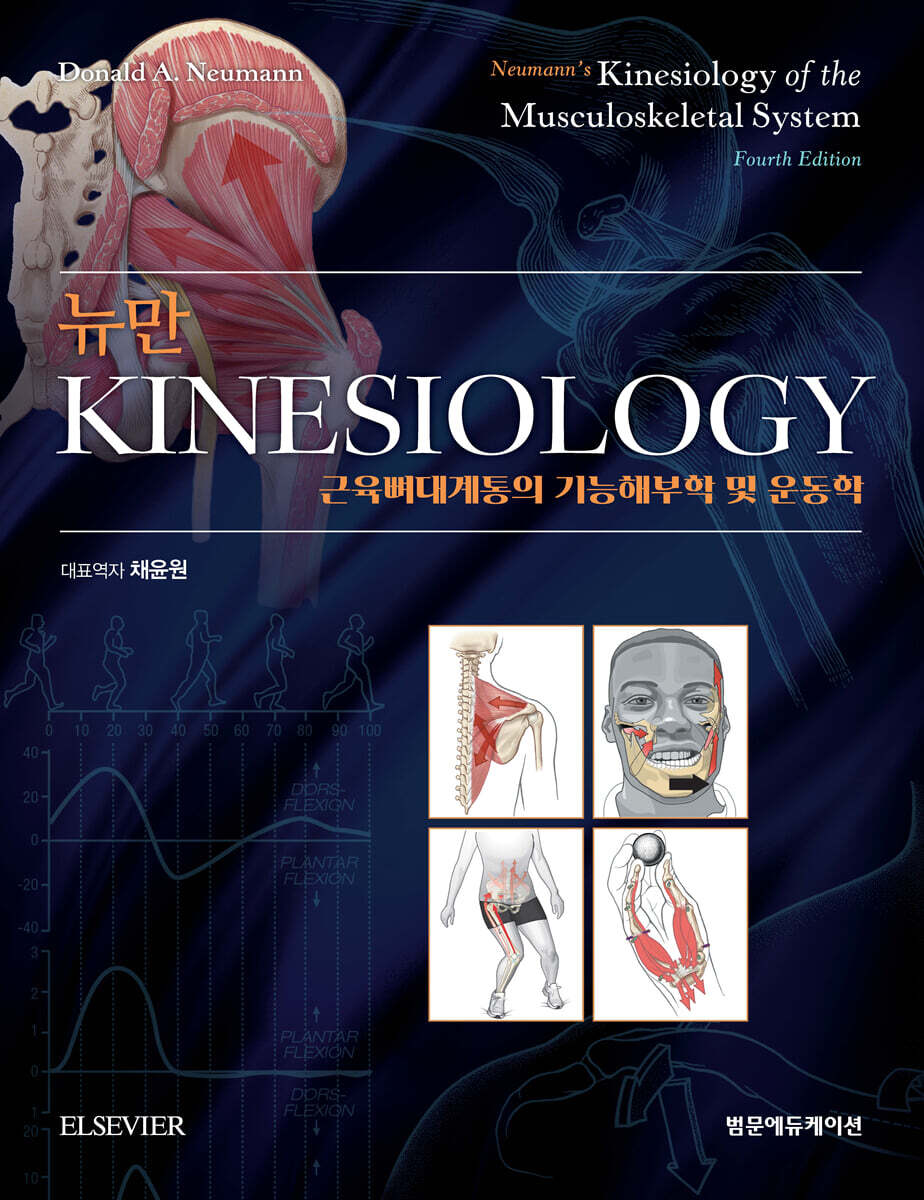 뉴만 kinesiology : 근육뼈대계통의 기능해부학 및 운동학
