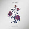 Whitney (휘트니) - 1집 Light Upon The Lake [레드 컬러 LP]