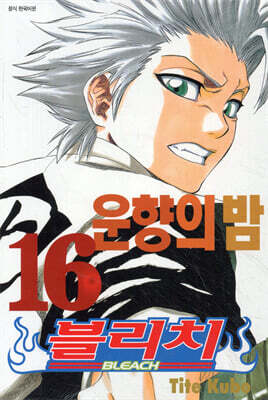 블리치 BLEACH 16